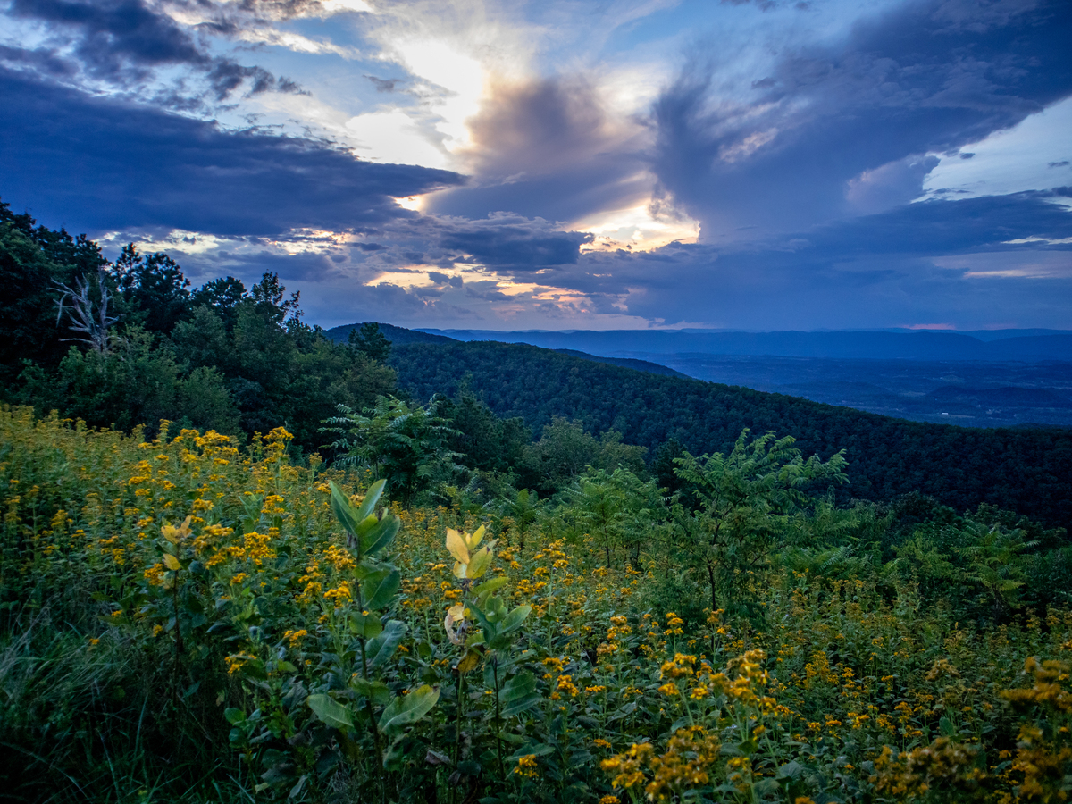 Impression de cadre personnalisé