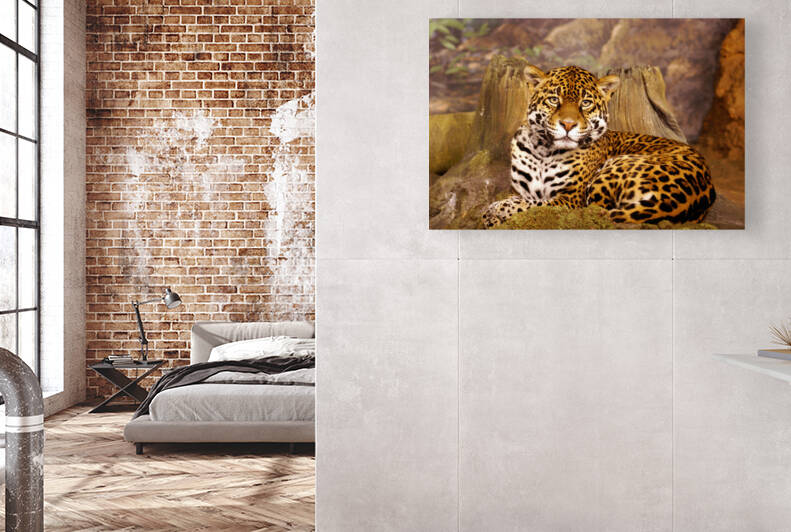 Stella full Portrait by Deb Beausoleil