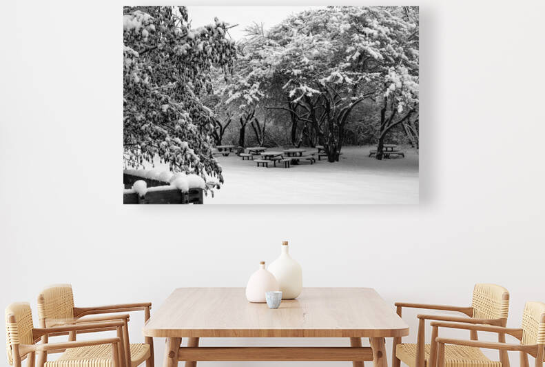 Picnic Under Snow Trees  by Deb Beausoleil