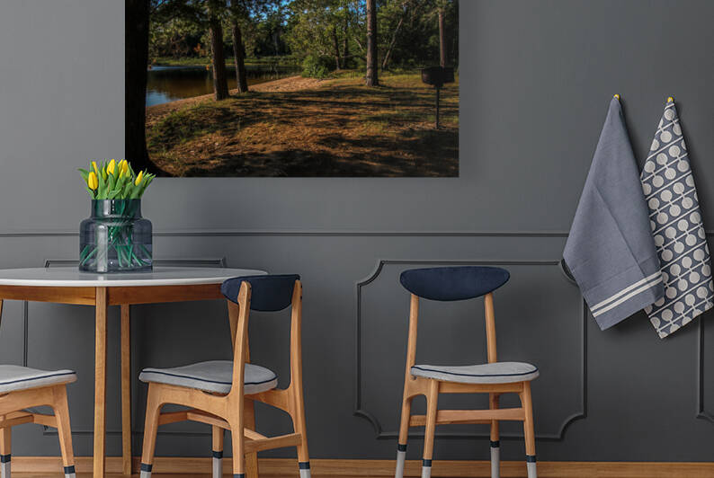 Deer Lake Picnic by Deb Beausoleil