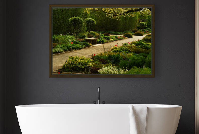 Shady Sun by Deb Beausoleil